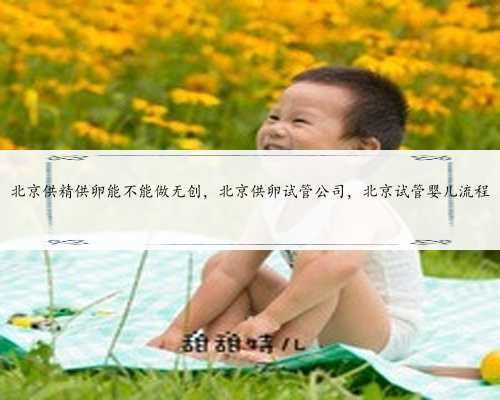 北京供精供卵能不能做无创，北京供卵试管公司，北京试管婴儿流程