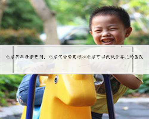 北京代孕母亲费用，北京试管费用标准北京可以做试管婴儿的医院