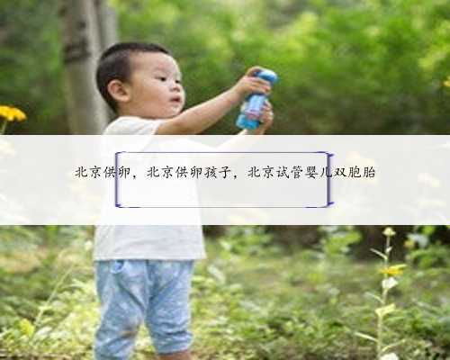 北京供卵，北京供卵孩子，北京试管婴儿双胞胎
