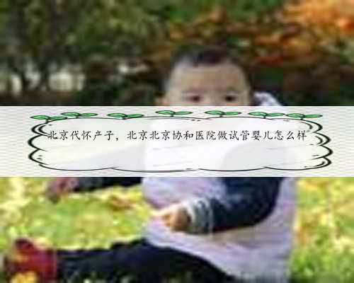 北京代怀产子，北京北京协和医院做试管婴儿怎么样