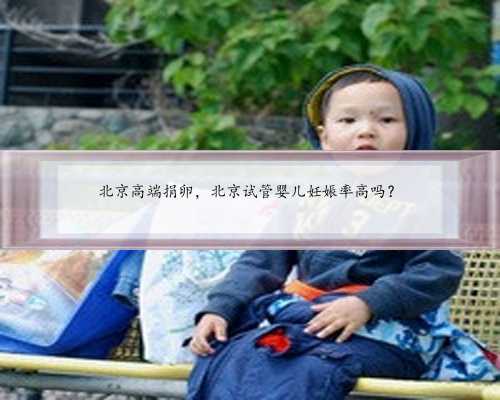 北京高端捐卵，北京试管婴儿妊娠率高吗？