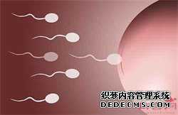 找供卵试管做试管的-最详细代北京代孕生产子北京代孕价格多少钱-【专业品质