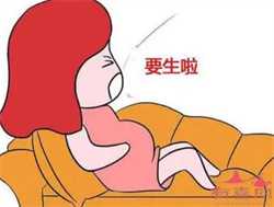 北京排队供卵的费用，新生儿房间要注意哪些问题？