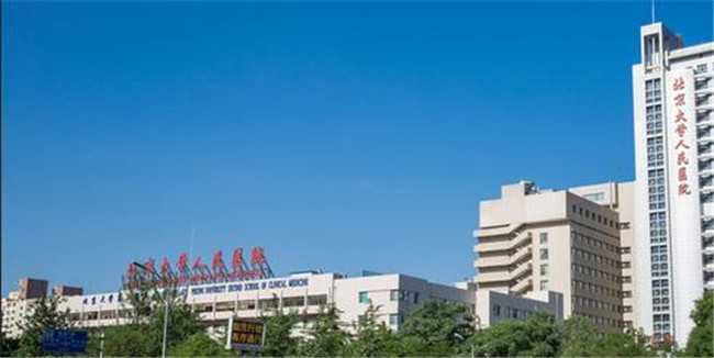 北京代怀孕公司专业吗，北京大学人民医院做试管婴儿成功率怎么样的？ 