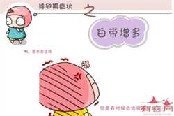 北京借卵子怀孕的孩子像谁，炎热天气时令水果领头＂跳水＂ 降价一成