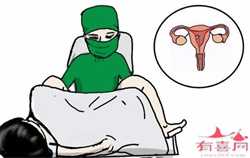 北京助孕包性别哪家好，泰国试管移植成功率多少？要注意什么？