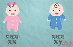 北京供卵中心有哪些，北京2022代怀孕多少钱，月经不调可以怀孕吗