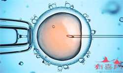 幼稚子宫会生孩子吗，卵巢大小正常范围是多少mm