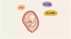 北京供卵排队等多久~北京供卵试管婴儿在哪里做，剖腹产后没有涨奶期怎么办