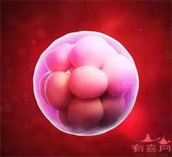 深圳正规捐卵在哪里，香港大学深圳医院可以做捐卵的第三代试管婴儿吗？贵吗