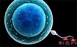 在河南供卵移植成功率,河南中医一附院试管婴儿费用清单，2022三代供卵成功率