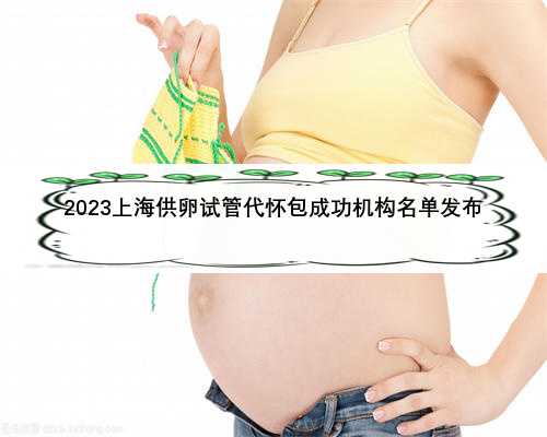 2023上海供卵试管代怀包成功机构名单发布