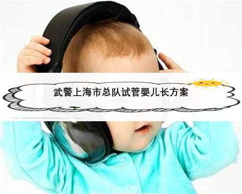 武警上海市总队试管婴儿长方案
