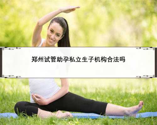 郑州试管助孕私立生子机构合法吗