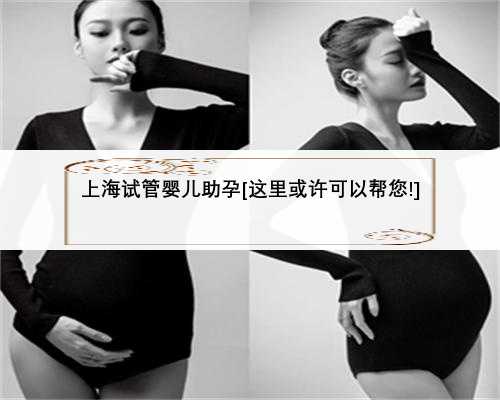 上海试管婴儿助孕[这里或许可以帮您!]